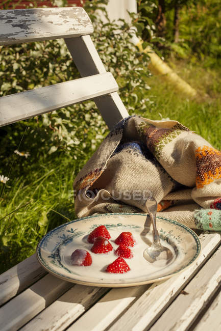 Plate with strawberries on bench, focus on foreground — Stock Photo