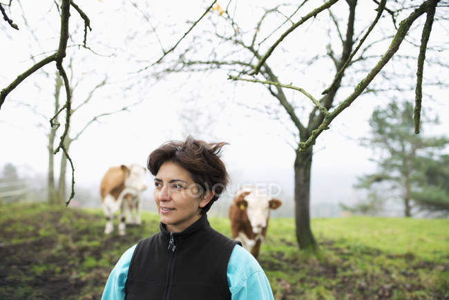 Agricultor olhando para longe, vacas no fundo — Fotografia de Stock