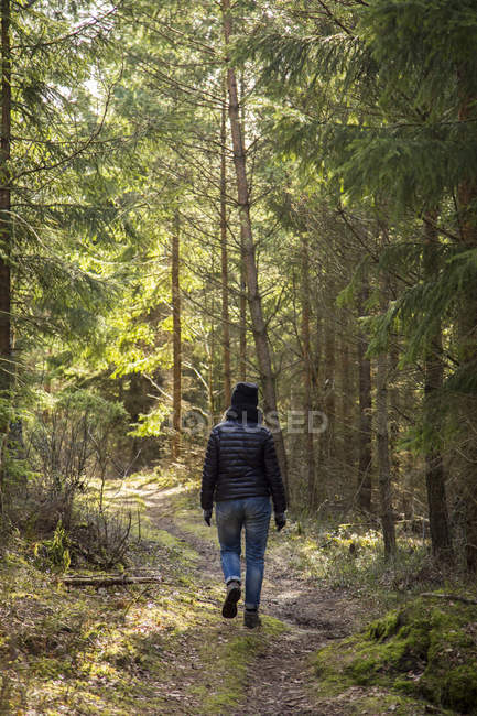Vista posteriore dell'escursionista in abbigliamento casual nella foresta — Foto stock