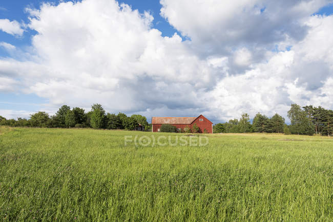 Сільськогосподарське поле, зовнішній вигляд червоної будівлі на задньому плані — стокове фото