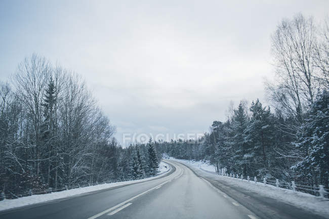 Scenic view of forest road during winter — Stock Photo