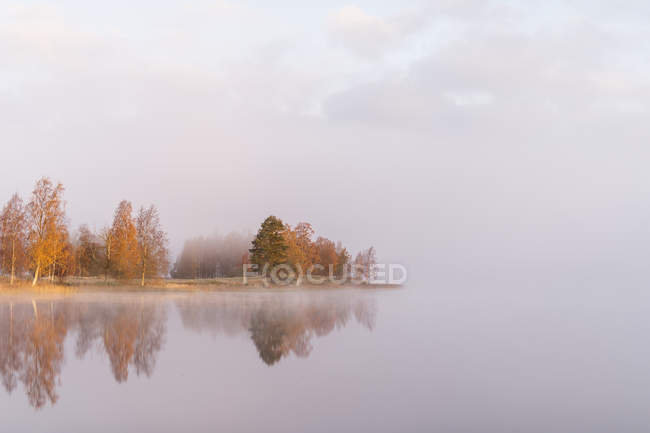 Lake covered in fog, reflection in water — Stock Photo