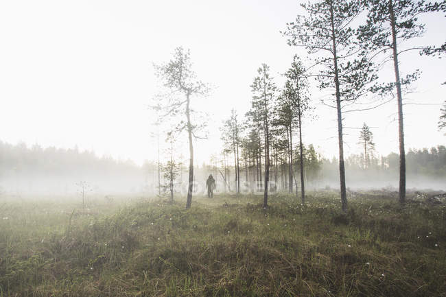 Rear view of man standing in misty field — Stock Photo