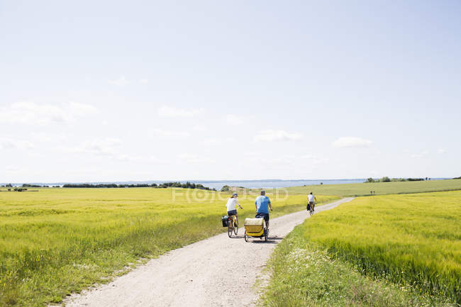Вид сзади на семейный велоспорт на поле, Вен, Швеция — стоковое фото