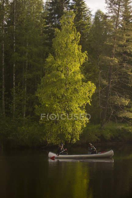 Casal remando no rio no norte da Suécia — Fotografia de Stock