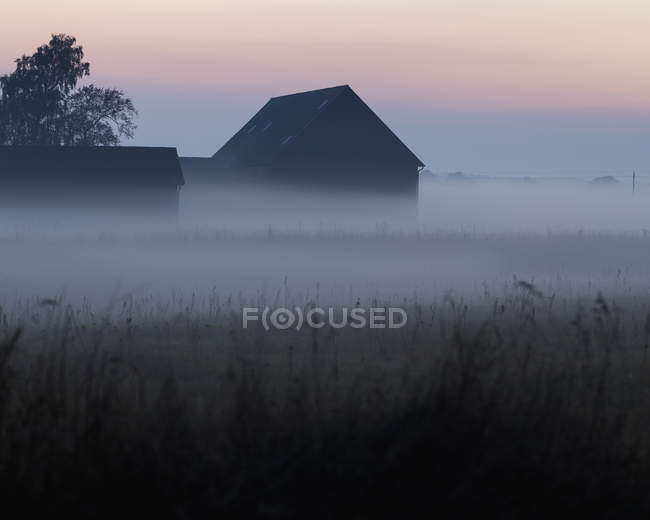 Bâtiment extérieur en bois dans le brouillard au lever du soleil — Photo de stock