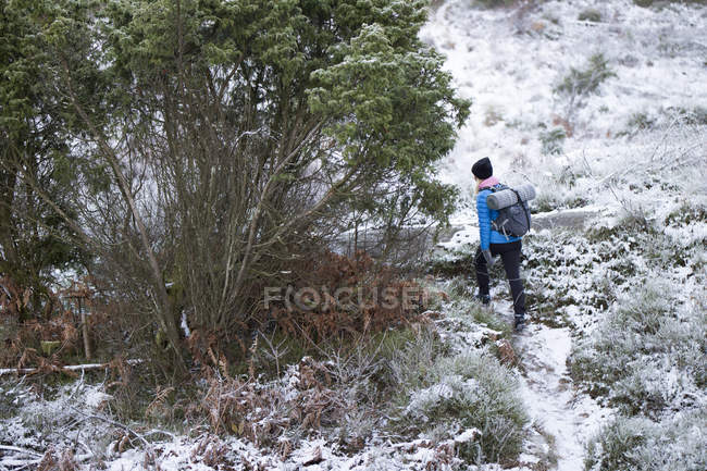Frau wandert im Winter im Wald — Stockfoto