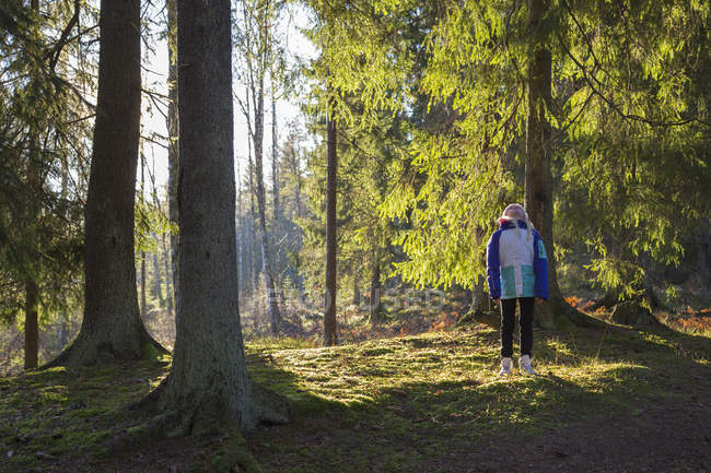 Девушка стоит в лесу и смотрит вверх — стоковое фото