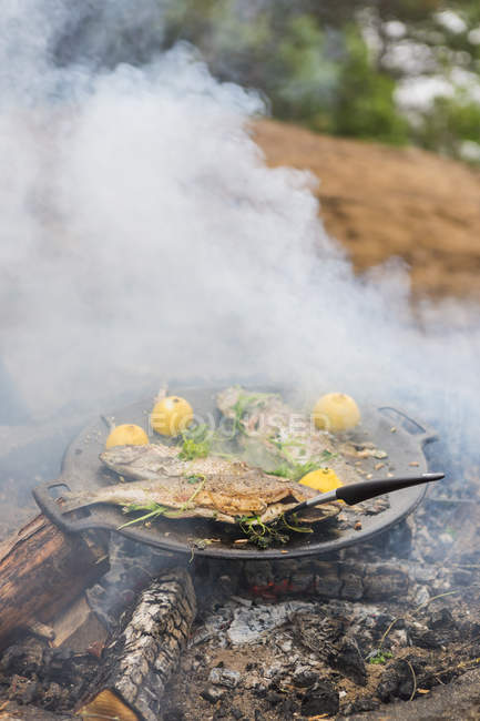 Kochen am Lagerfeuer, Fokus auf den Vordergrund — Stockfoto