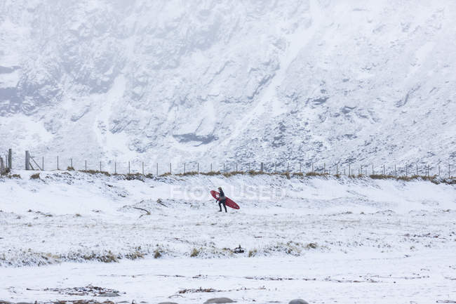Mann trägt Surfbrett über schneebedecktes Gelände auf den Lofoten, Norwegen — Stockfoto