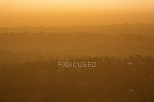 Vista de alto ángulo del bosque al atardecer en Kenia - foto de stock