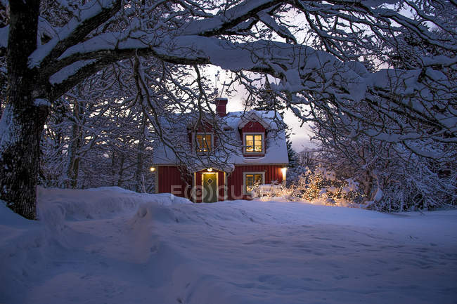 Экстерьер освещенного красного здания рядом с голыми деревьями в зимний период — стоковое фото