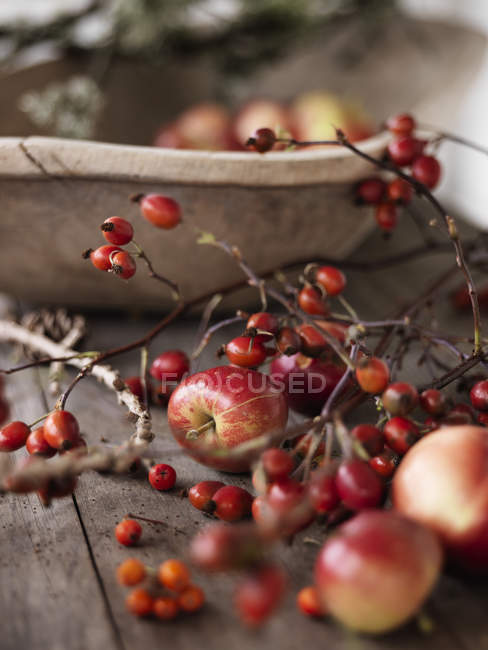 Крупним планом червоні яблука, диференціальний фокус — стокове фото