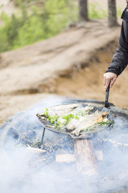 Vue recadrée de l'homme cuisinant du poisson sur le feu de camp, mise au point sélective — Photo de stock