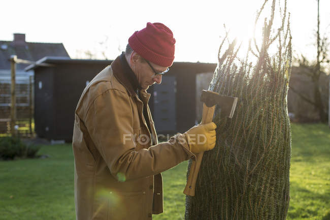 Homme avec hache regardant l'arbre de Noël — Photo de stock