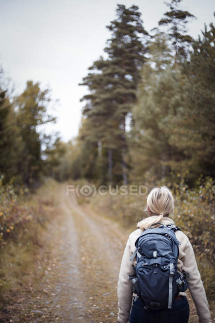 Sac à dos femme marchant le long de la route de terre menant à travers la forêt — Photo de stock