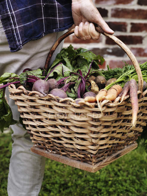 Man carrying basket with vegetables, selective focus — Stock Photo