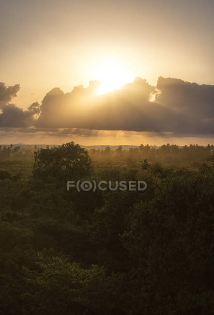 Vista elevada de la puesta de sol sobre los árboles en Kenia - foto de stock