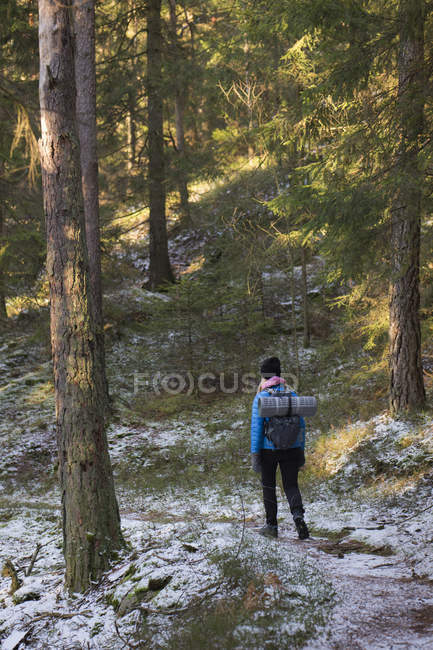 Escursioni donna durante la foresta invernale — Foto stock