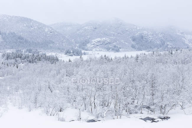 Vista panorámica de las montañas en la nieve en invierno - foto de stock