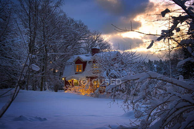 Освещённый дом в заснеженном лесу, архипелаг Стокгольм — стоковое фото