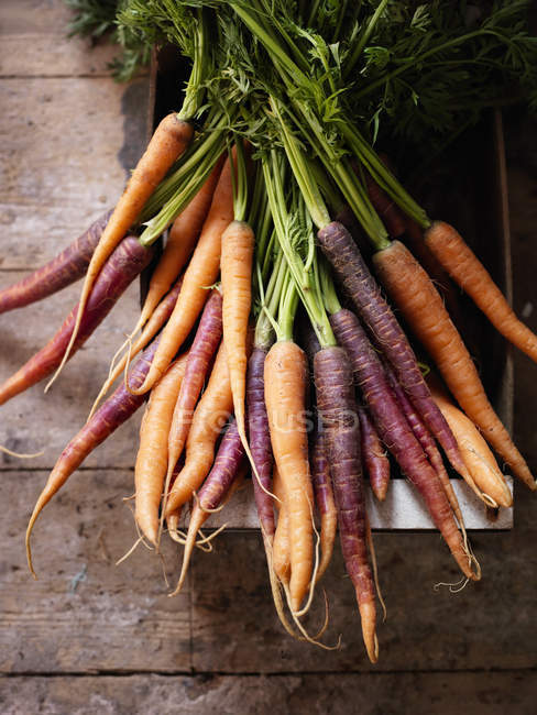 Overhead view of bunch of fresh carrots — Stock Photo