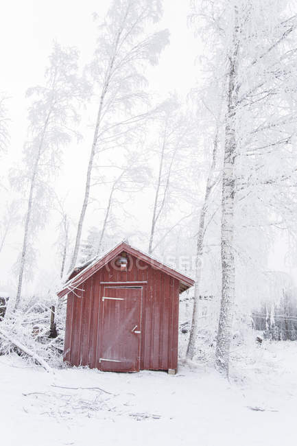Rifugio in legno nella foresta innevata in inverno — Foto stock