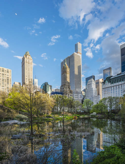 Bäume und Wolkenkratzer im Central Park spiegeln sich im Wasser — Stockfoto