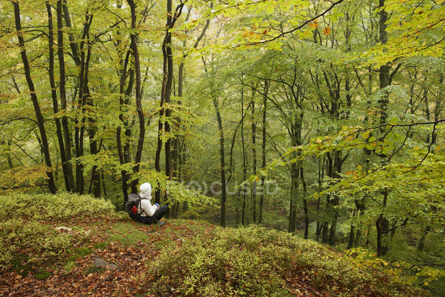 Metà donna adulta seduta nella foresta — Foto stock