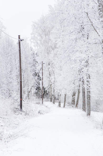 Rue vide avec poteau téléphonique en hiver — Photo de stock