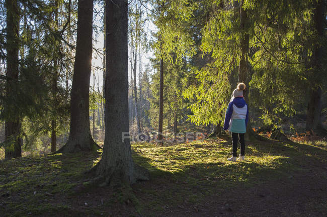 Rückansicht eines Mädchens, das im Wald steht — Stockfoto