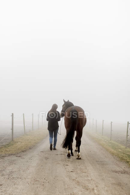 Mulher adulta média com cavalo na estrada da sujeira no nevoeiro — Fotografia de Stock