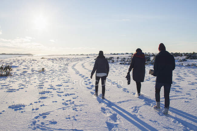 Friends walking through field at winter — Stock Photo