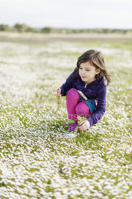 Girl picking wildflowers in Alantejo, Portugal — Stock Photo