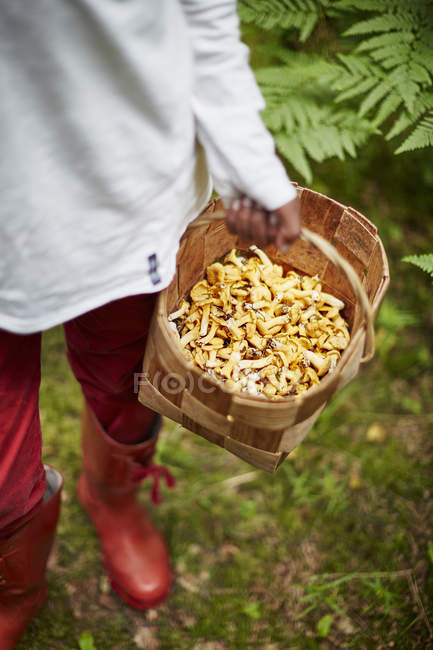 Мальчик с корзиной грибов, избирательный фокус — стоковое фото
