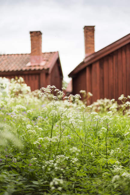 Деревянные дома на севере Швеции, избирательный фокус — стоковое фото