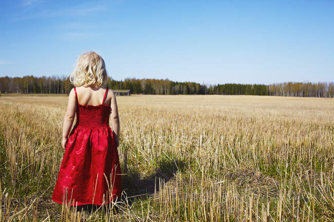 Vue arrière de la fille portant une robe rouge debout dans le champ — Photo de stock