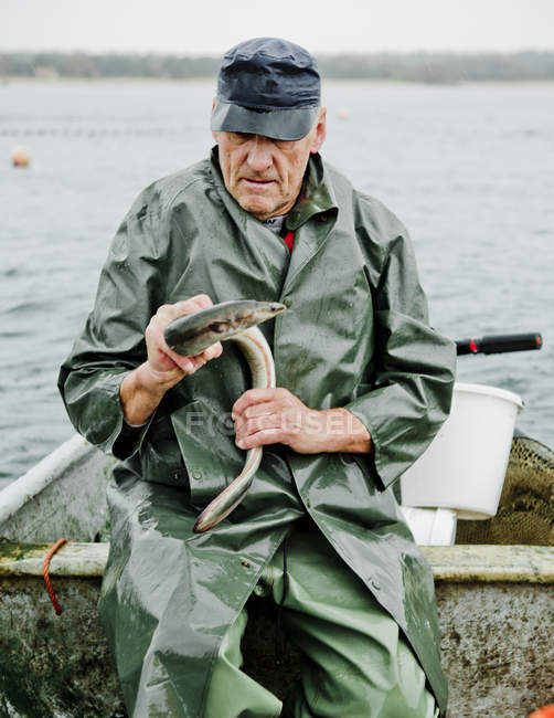 Fisherman holding eel, selective focus — Stock Photo