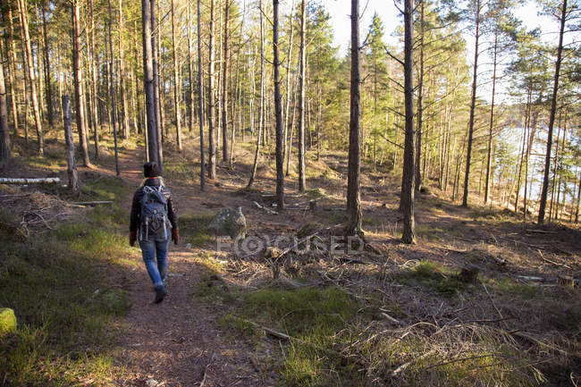 Vista posteriore di escursionista femminile nella foresta — Foto stock