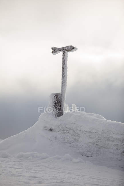 Señal de flecha cubierta de nieve en Trysil, Noruega - foto de stock