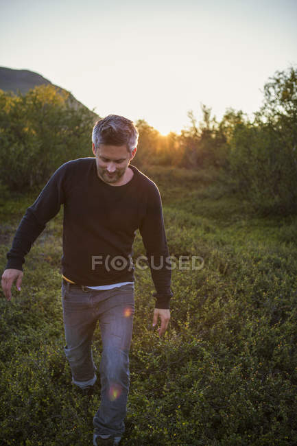 Человек смотрит на сельскую местность, фокусируется на переднем плане — стоковое фото