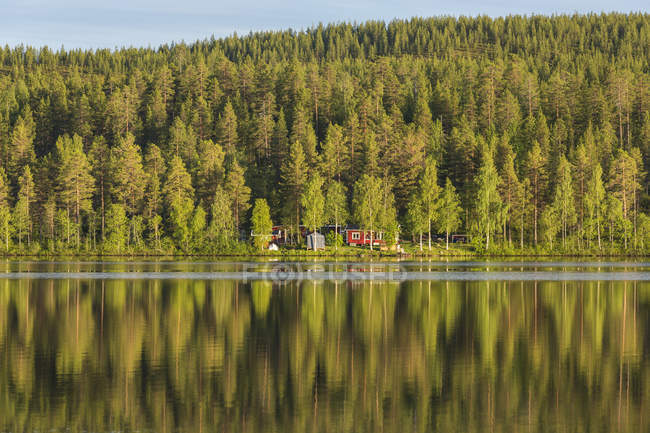Scenic view of forest by river, sweden — Stock Photo