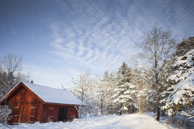 Exterior del edificio rojo en invierno, sueco - foto de stock