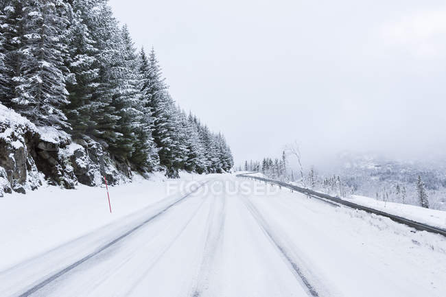 Живописный вид на заснеженную дорогу в норвежском Лоффенхайме — стоковое фото