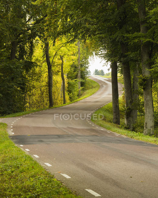 Vue panoramique sur la route dans la forêt, Suède — Photo de stock