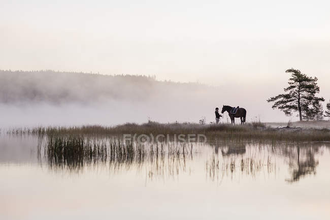 Молода жінка стоїть з конем на березі озера — стокове фото