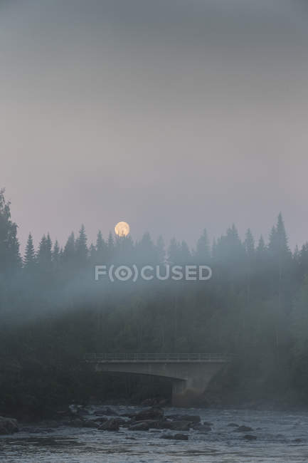 Nebliger Waldfluss bei Sonnenuntergang, vasterbotten County — Stockfoto