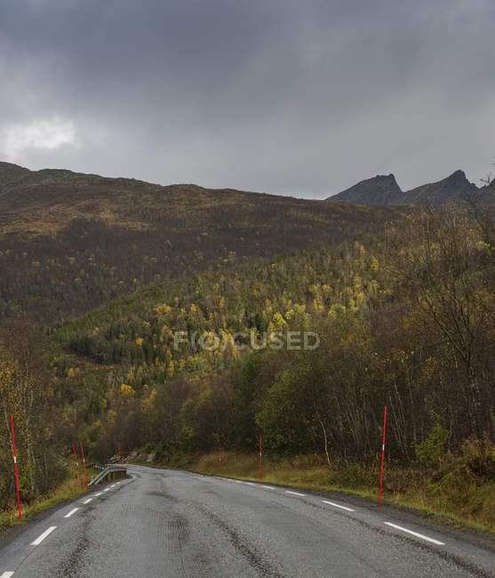 Scenic view of rural road in Sweden — Stock Photo