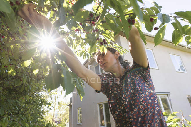 Женщина, работающая в саду против внешнего вида здания — стоковое фото