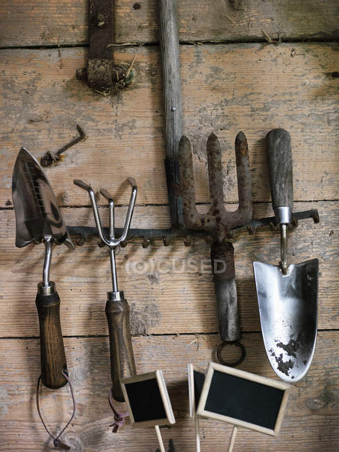 Gros plan des outils de jardin sur fond en bois — Photo de stock